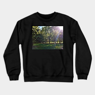Green Park Crewneck Sweatshirt